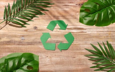 How the use of biodegradable products benefits your septic tank’s performance